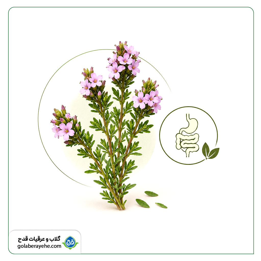 خواص عرق شاتره برای گوارش